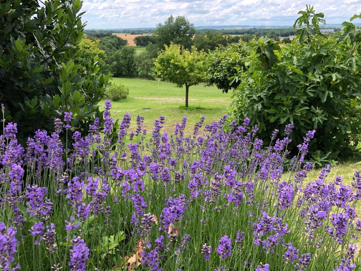 La Ferme Buissonniere Bed and Breakfast Bardou Buitenkant foto