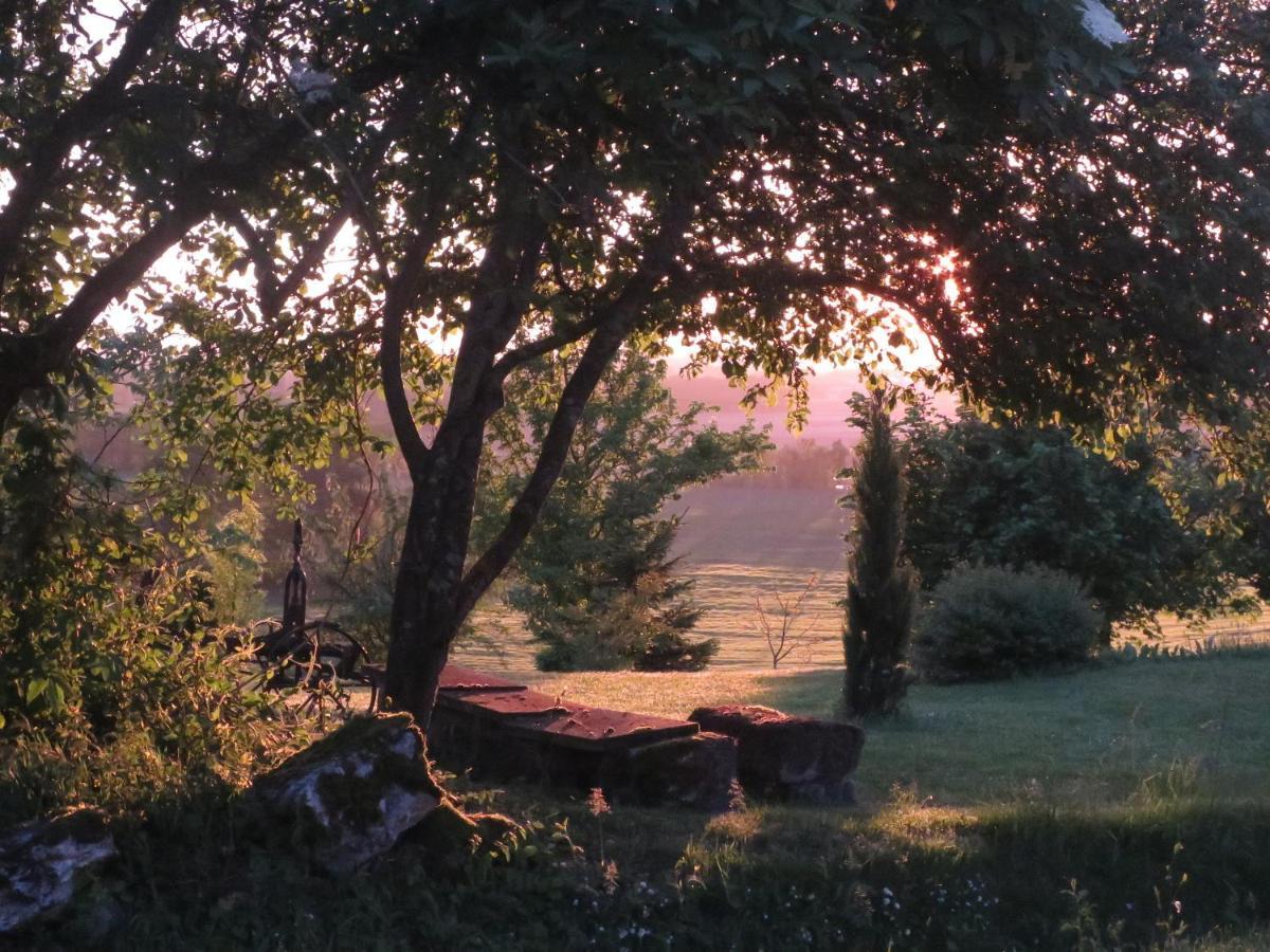 La Ferme Buissonniere Bed and Breakfast Bardou Buitenkant foto