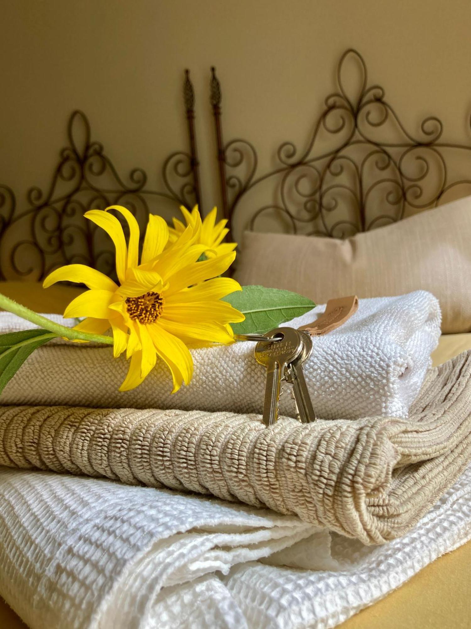 La Ferme Buissonniere Bed and Breakfast Bardou Buitenkant foto